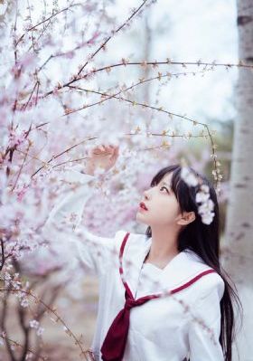 唐人街探案3电影免费观看播放_BD高清完整版